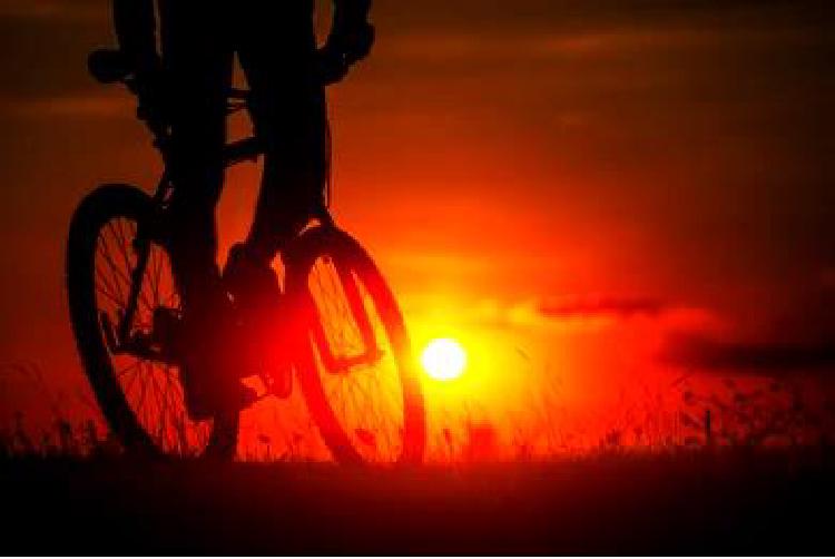 Езда на велосипеде по пересеченной местности: Радость от прыжков и падений